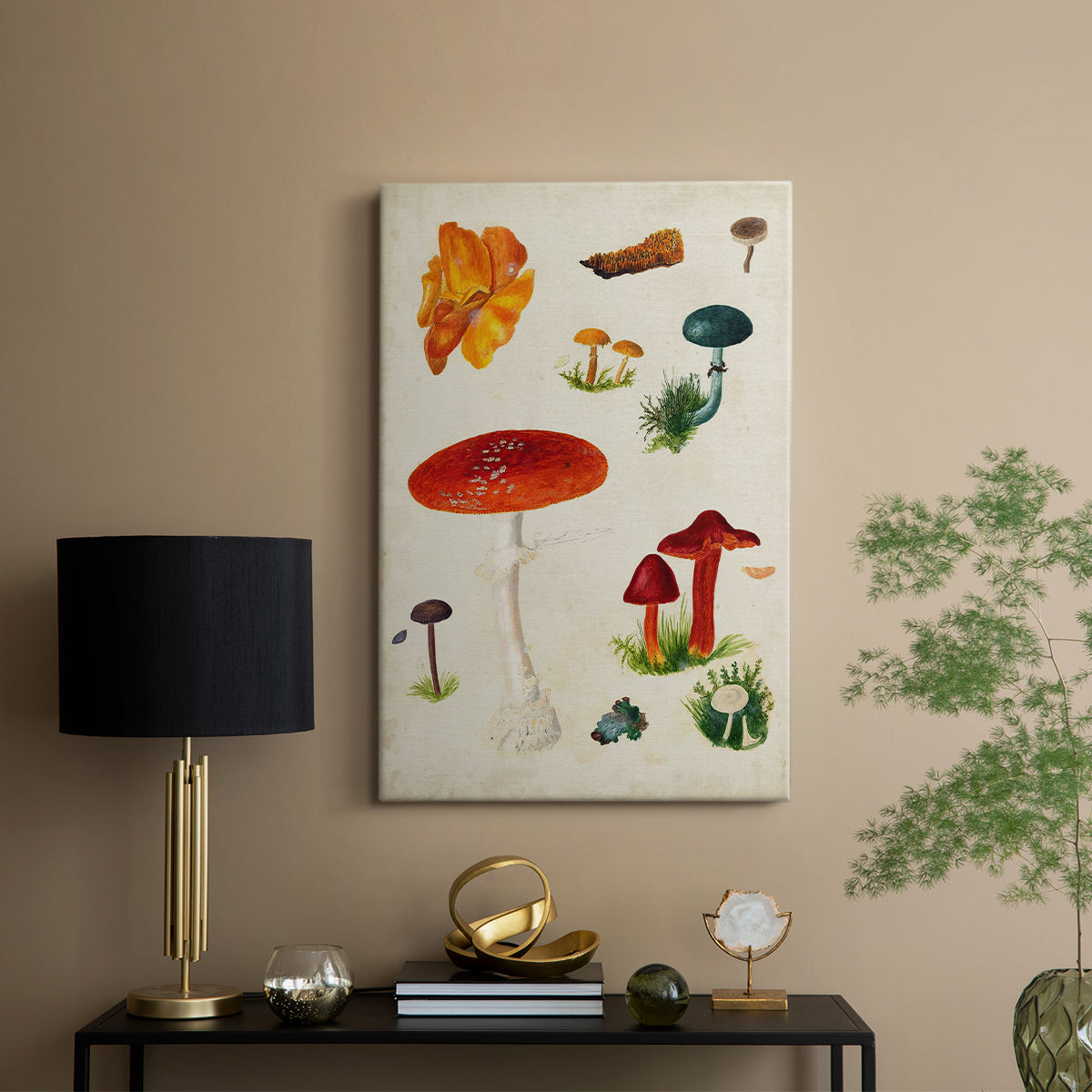 Mushroom Species VIII - Canvas Art Print