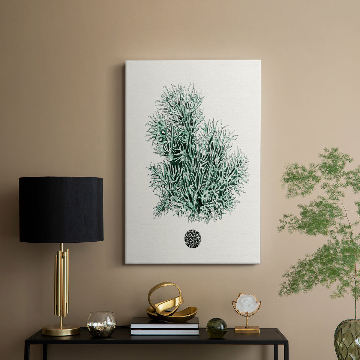 Antique Coastal Coral V - Canvas Art Print