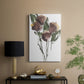 Growing Wild I - Canvas Art Print