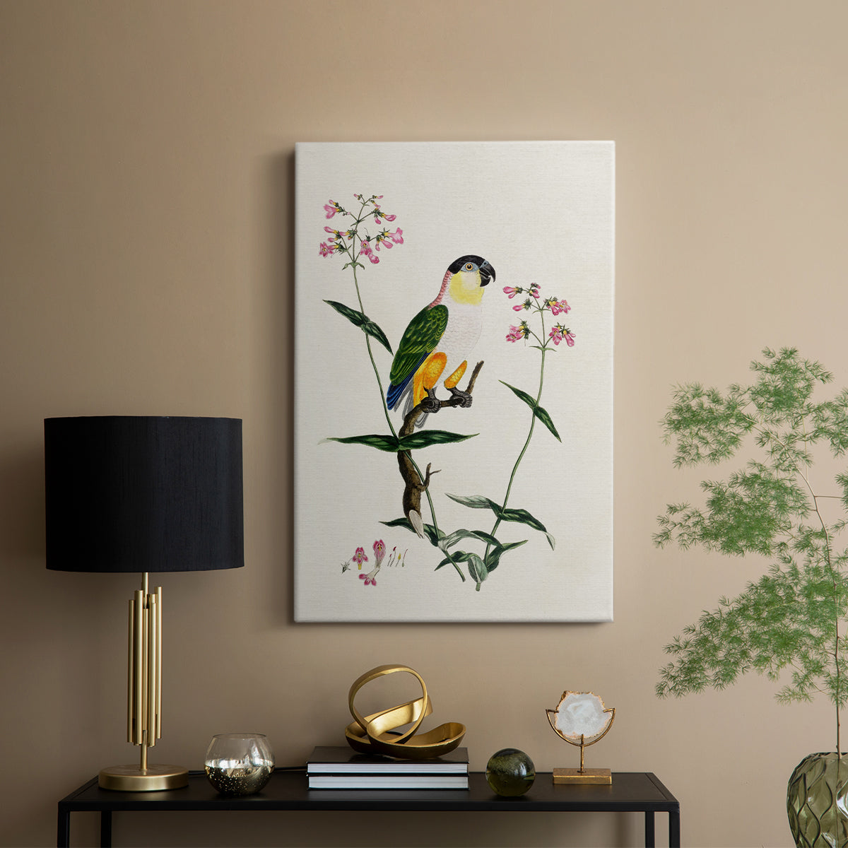 Black-Headed Parrot (Psittacus melanocephalus), 1796 - Canvas Art Print