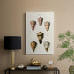 Cone Shell Collection IV - Canvas Art Print