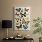 Collected Flutter II - Canvas Art Print