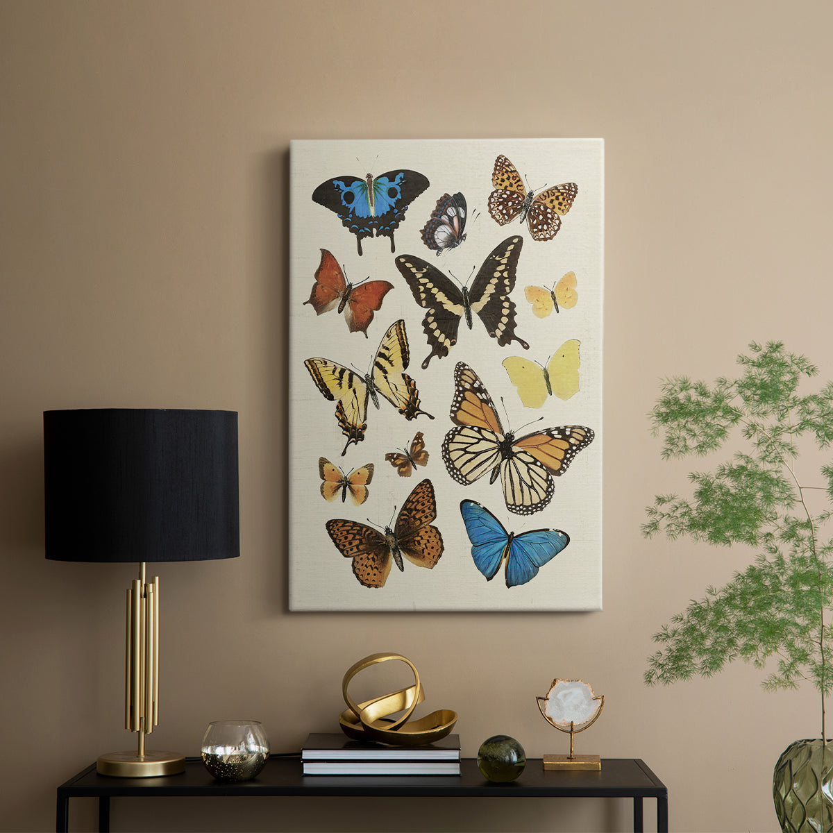 Collected Flutter II - Canvas Art Print