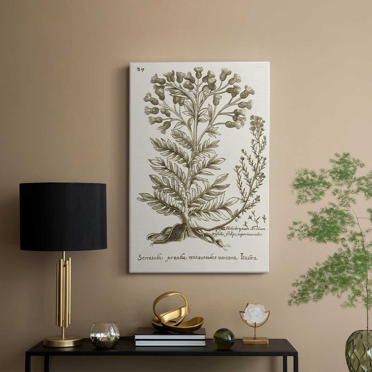 Sepia Botanical Journal I - Canvas Art Print