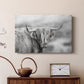 Roaming Isle of Skye - Canvas Art Print
