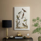 Antique Birds in Nature II - Canvas Art Print
