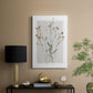 Field Study Page II - Canvas Art Print