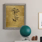 Gold Sketch Botanical II - Barnwood Framed Canvas Print