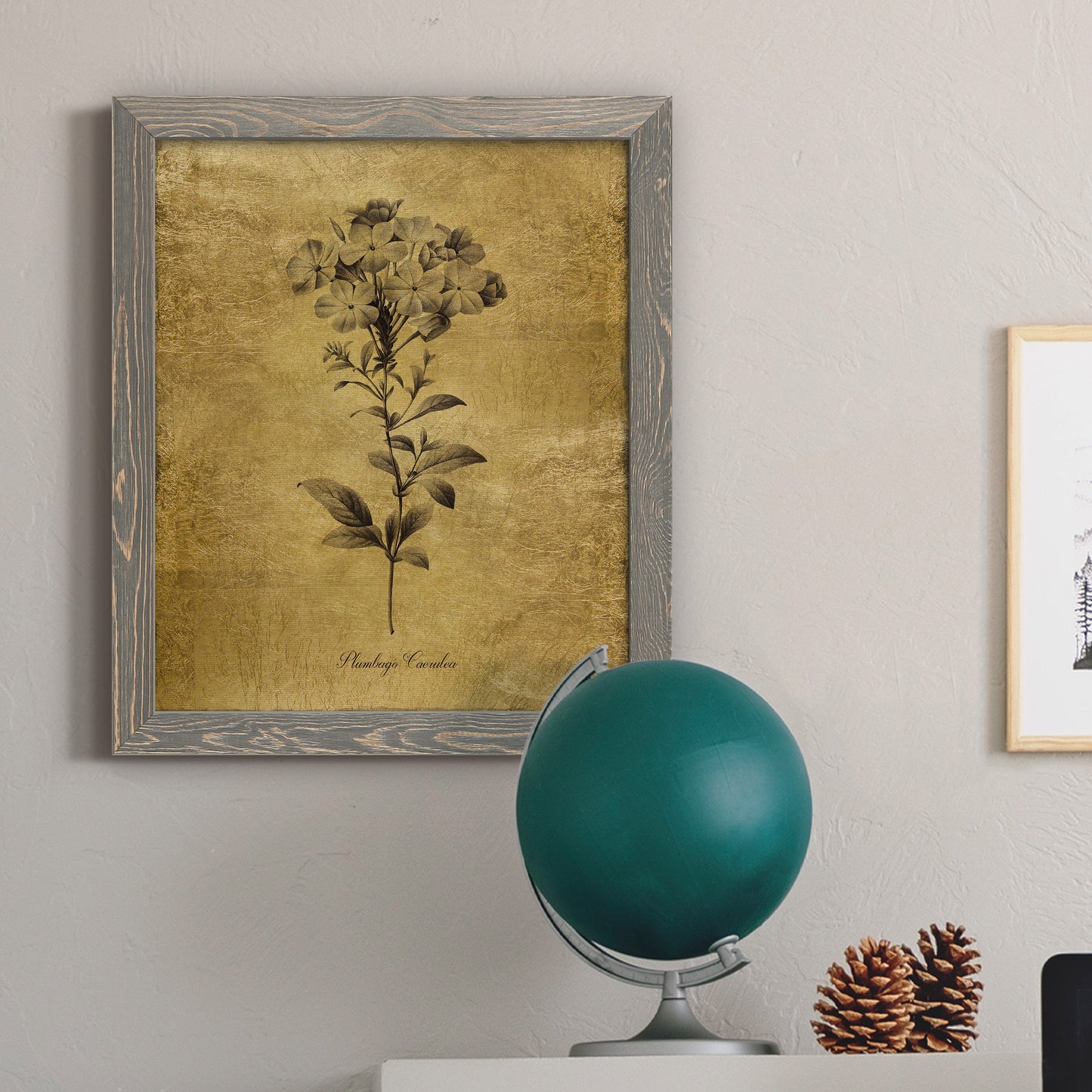 Gold Sketch Botanical II - Barnwood Framed Canvas Print