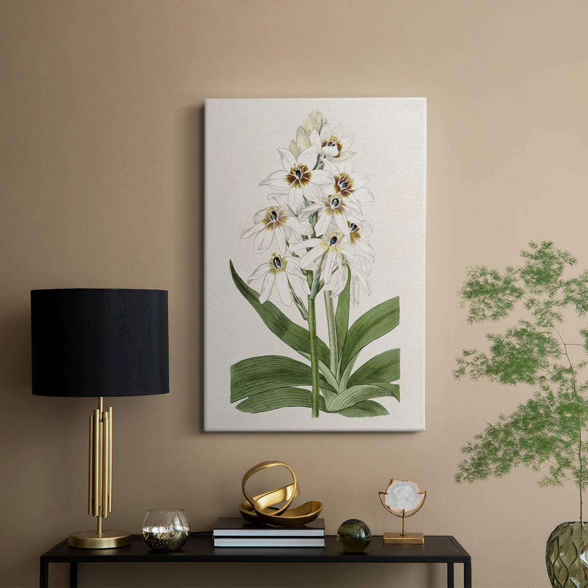 Flore Albo I - Canvas Art Print