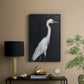 Calm Great Egret II - Canvas Art Print
