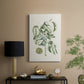 Buchoz Tropicals V - Canvas Art Print