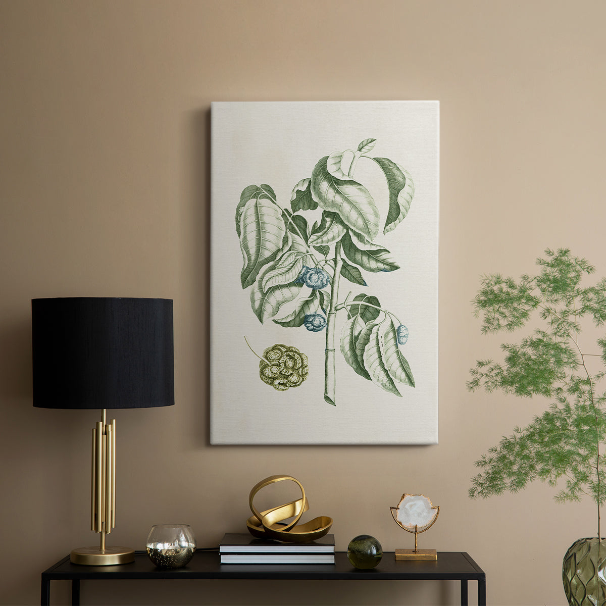 Buchoz Tropicals V - Canvas Art Print