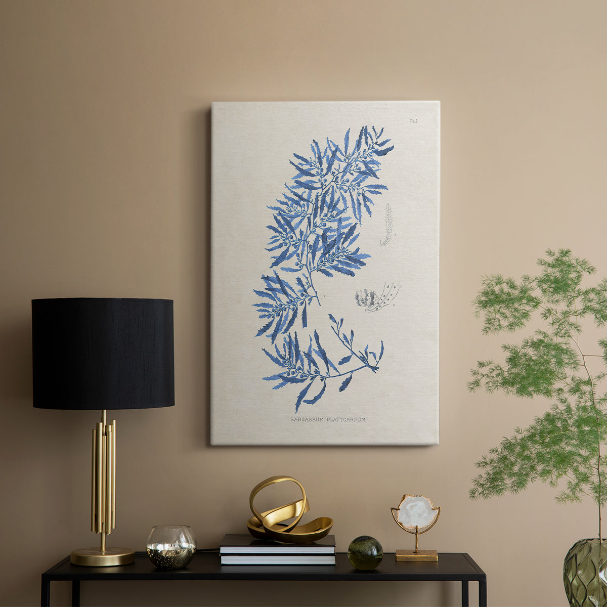 Blue Marine Algae III - Canvas Art Print