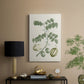 Buchoz Tropicals II - Canvas Art Print
