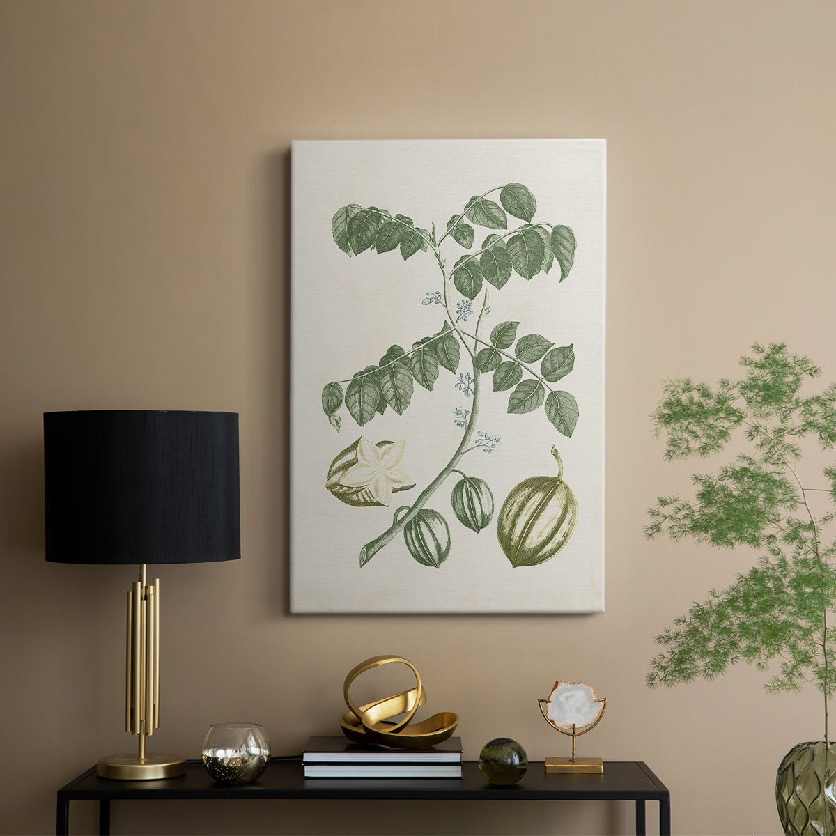 Buchoz Tropicals II - Canvas Art Print