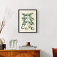 Buchoz Tropicals VII - Restickable Framed Art Print