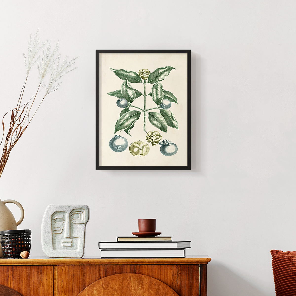 Buchoz Tropicals VII - Restickable Framed Art Print
