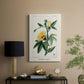 Turpin Tropical Botanicals VI - Canvas Art Print