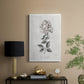 Vintage Botanical II - Canvas Art Print