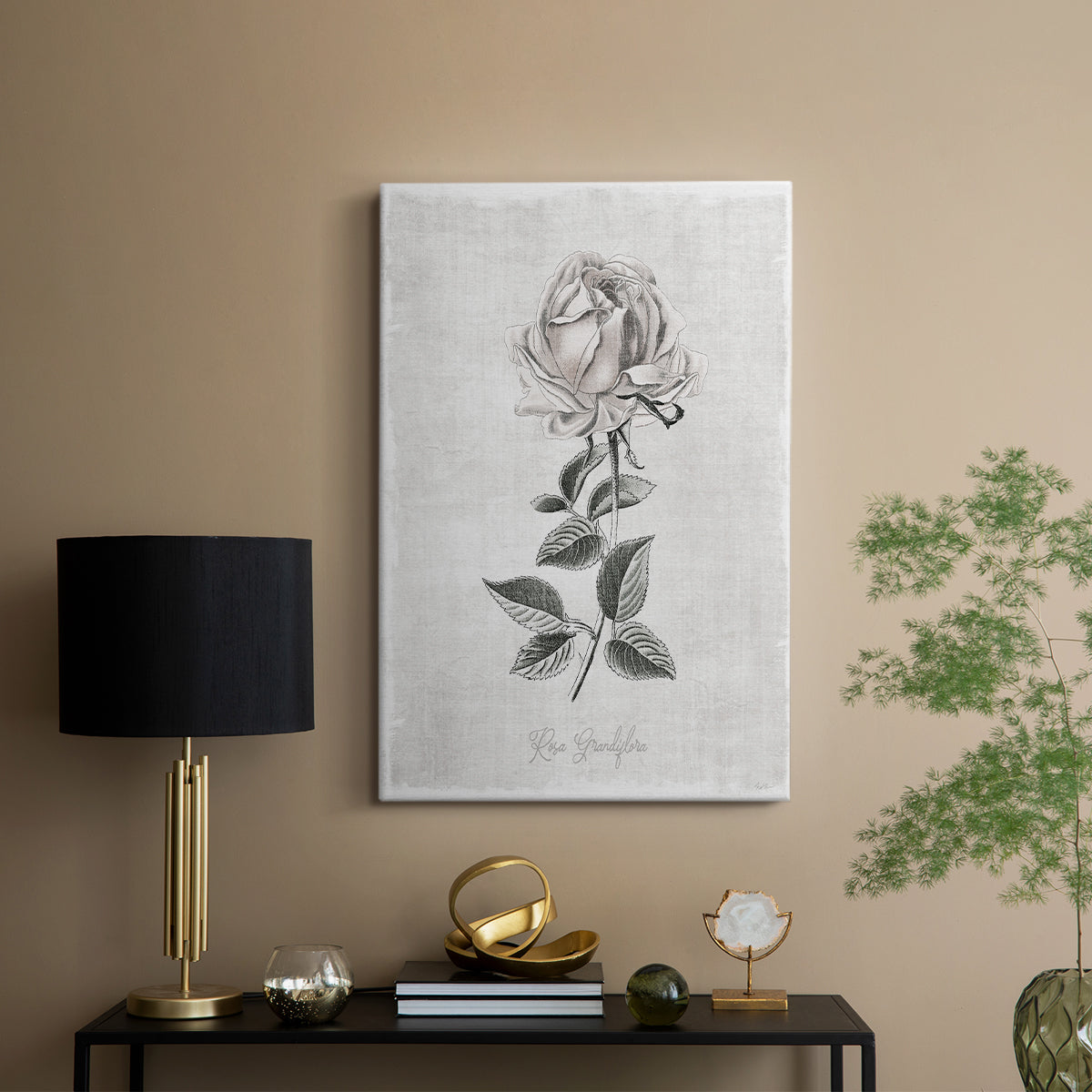 Vintage Botanical II - Canvas Art Print