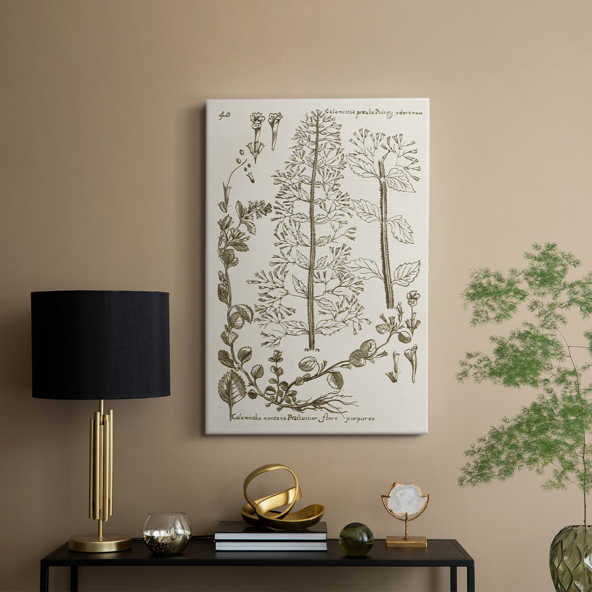 Sepia Botanical Journal V - Canvas Art Print