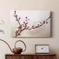 Cherry Blossom Study I - Canvas Art Print