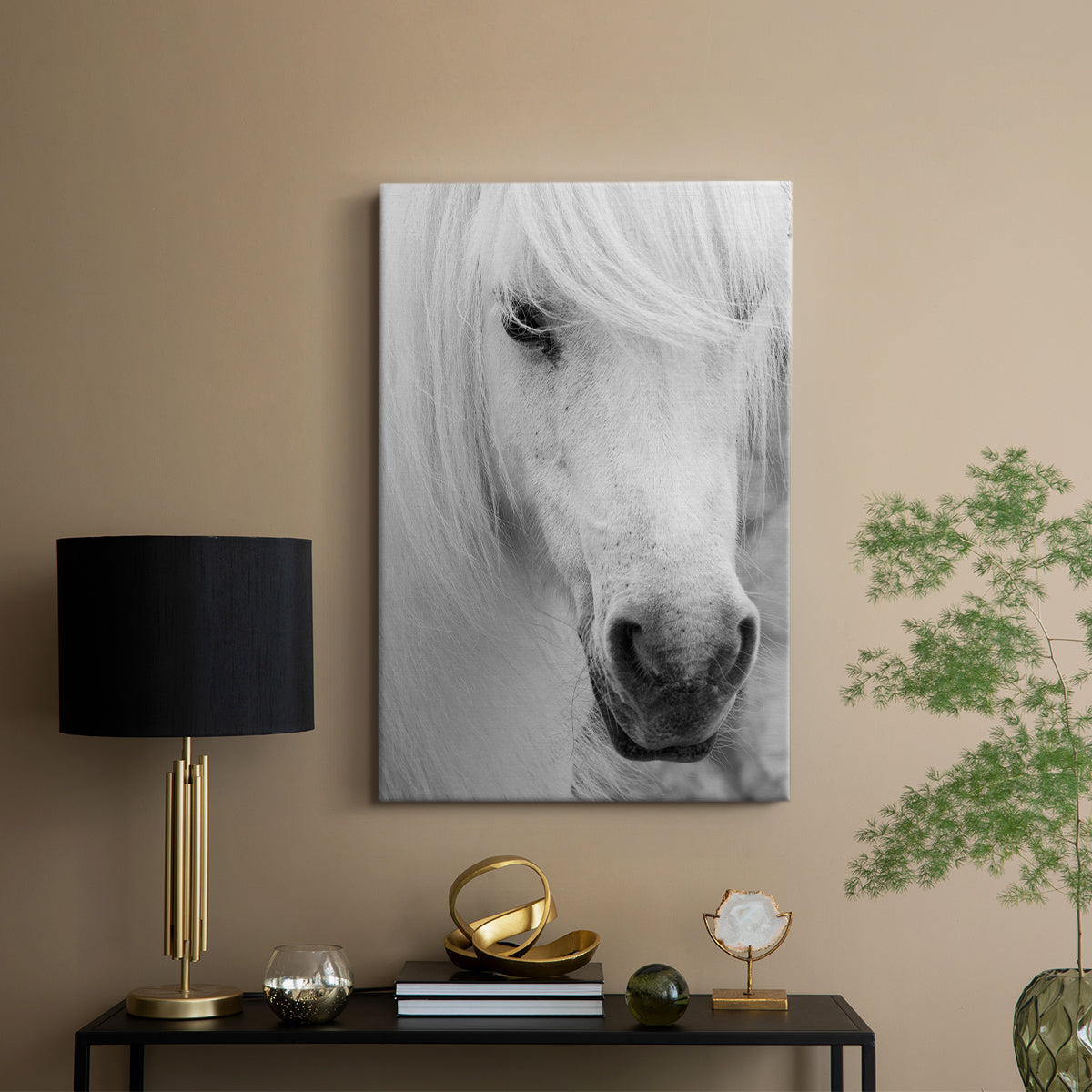 Island Pony I - Canvas Art Print