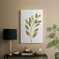 Single Twig I - Canvas Art Print