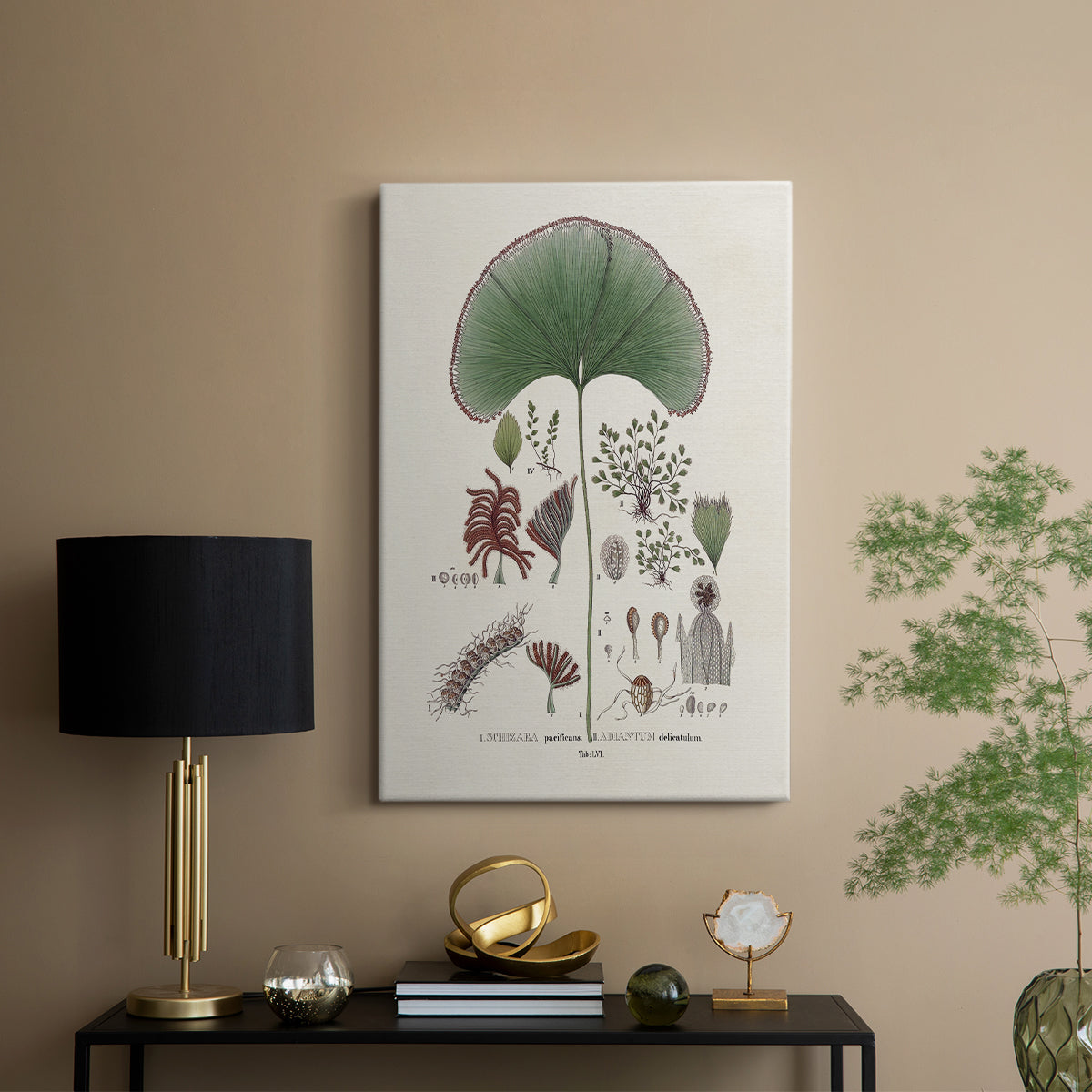Botanical Society Ferns III - Canvas Art Print