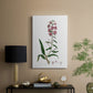 Rose Botanical I - Canvas Art Print
