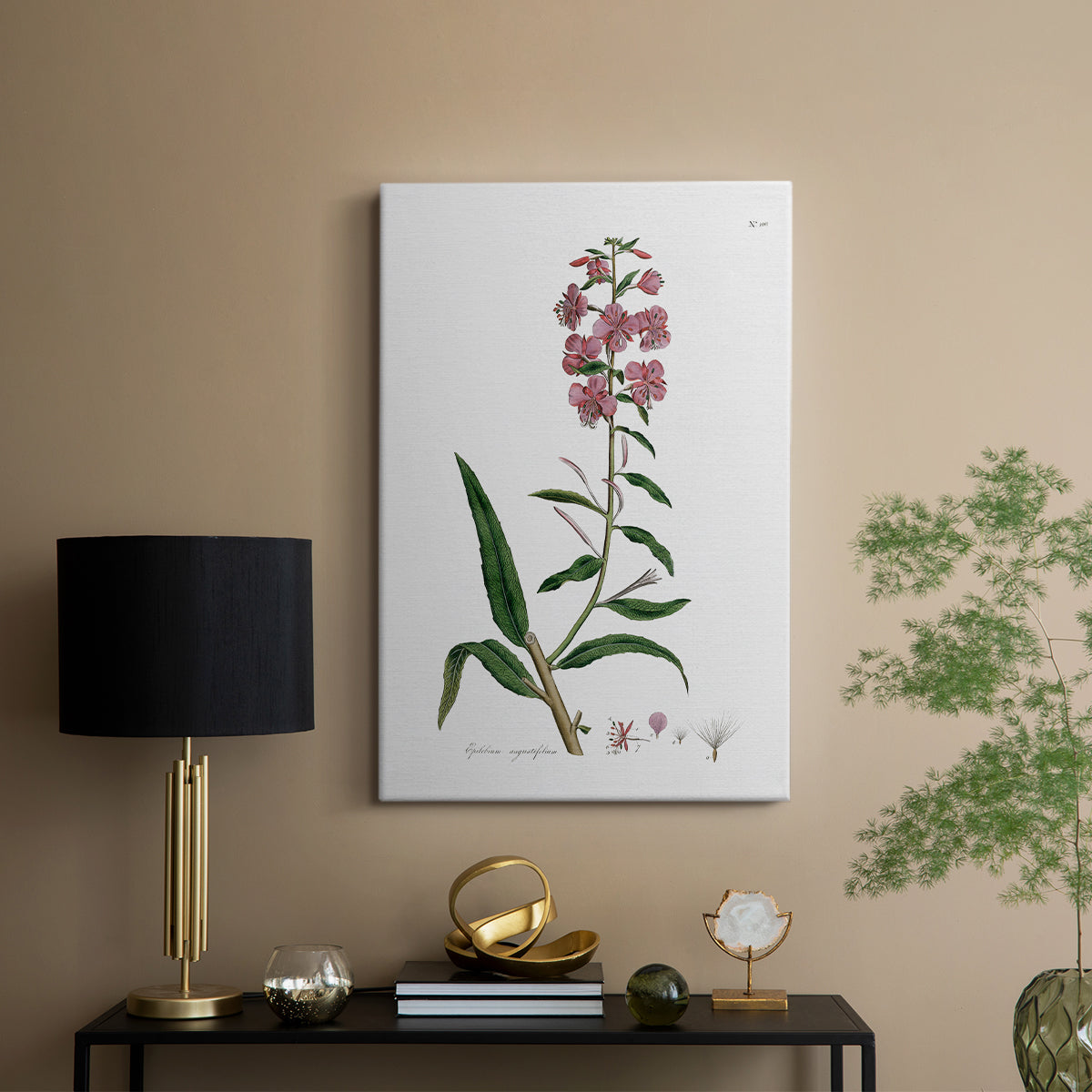Rose Botanical I - Canvas Art Print