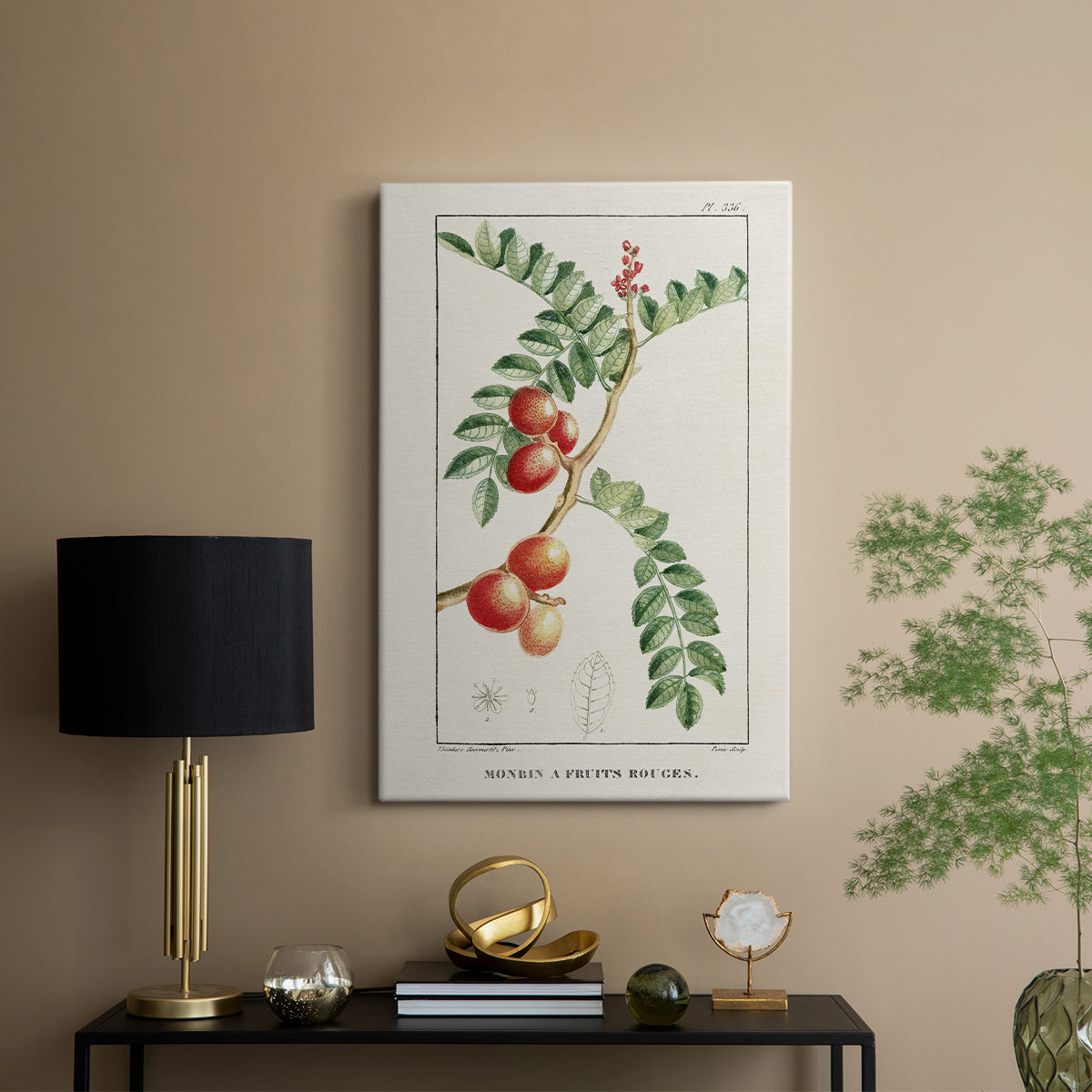 Turpin Tropical Botanicals III - Canvas Art Print