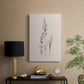 Delicate Stems I - Canvas Art Print