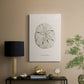 Shore Treasure Study III - Canvas Art Print