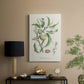 Antique Almond Botanical IV - Canvas Art Print