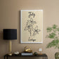 Birth Month VII - Canvas Art Print