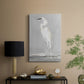 Coast Watching II - Canvas Art Print
