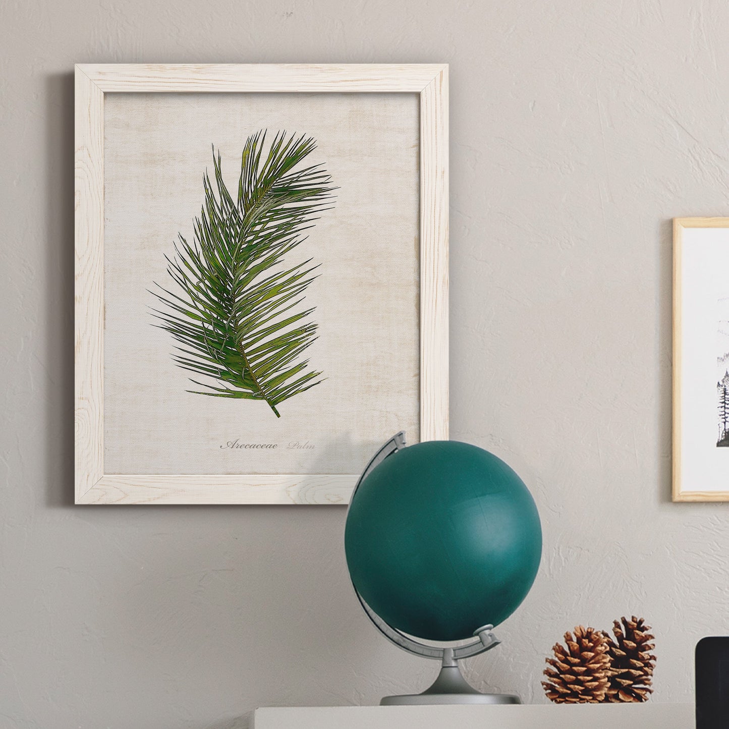 Palm Botanical II - Premium Canvas Framed in Barnwood - Ready to Hang