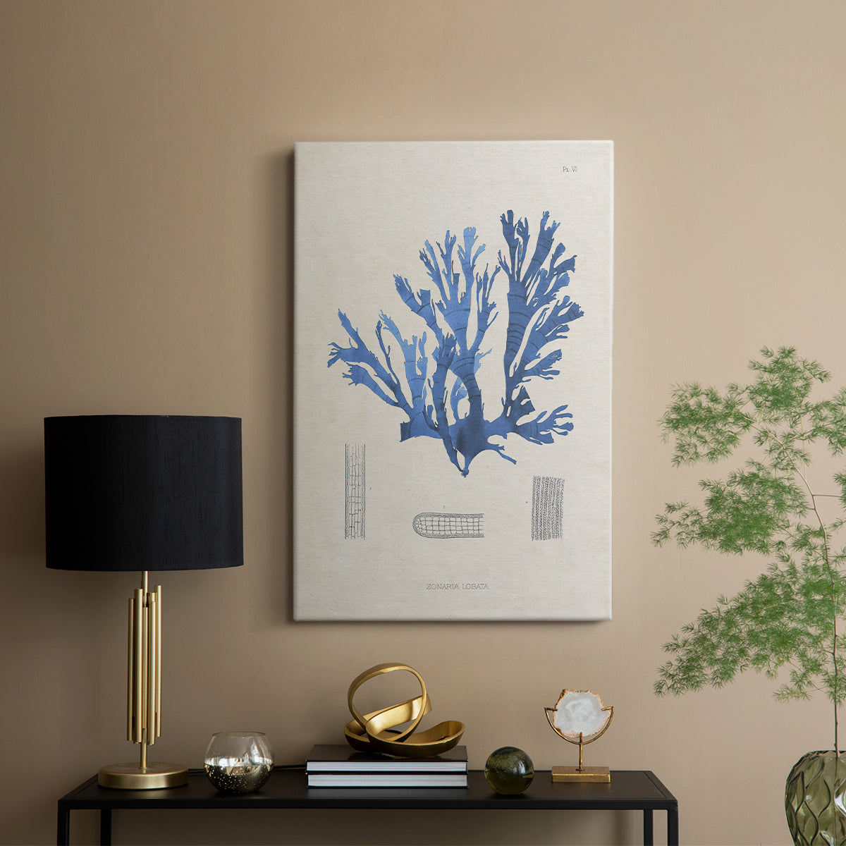 Blue Marine Algae IX - Canvas Art Print