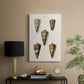 Cone Shell Collection II - Canvas Art Print