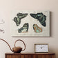 Crackled Butterflies III - Canvas Art Print