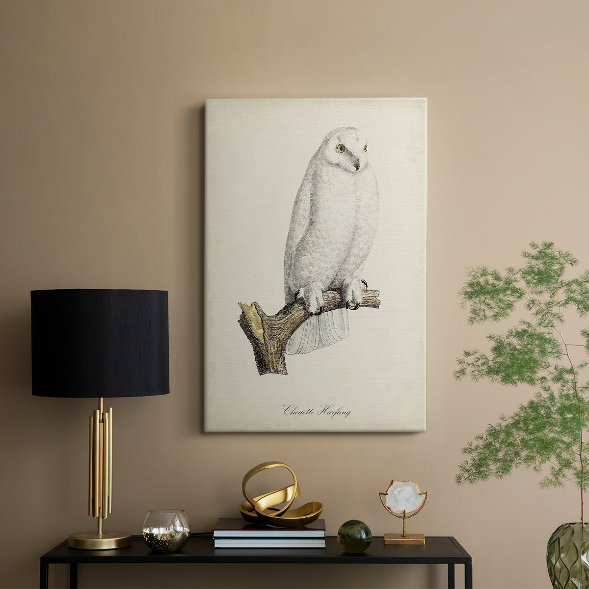 French Owls IV - Canvas Art Print