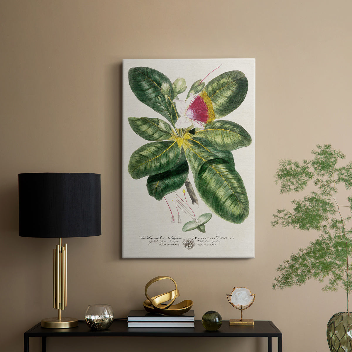 Imperial Tropical Botanical I - Canvas Art Print