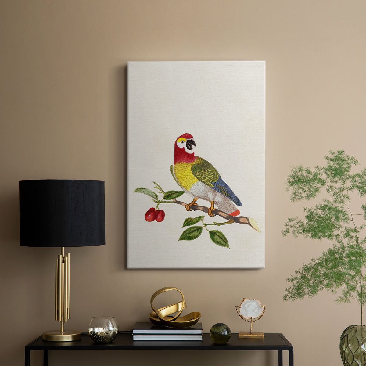 Guinea Parrot, 1796 - Canvas Art Print