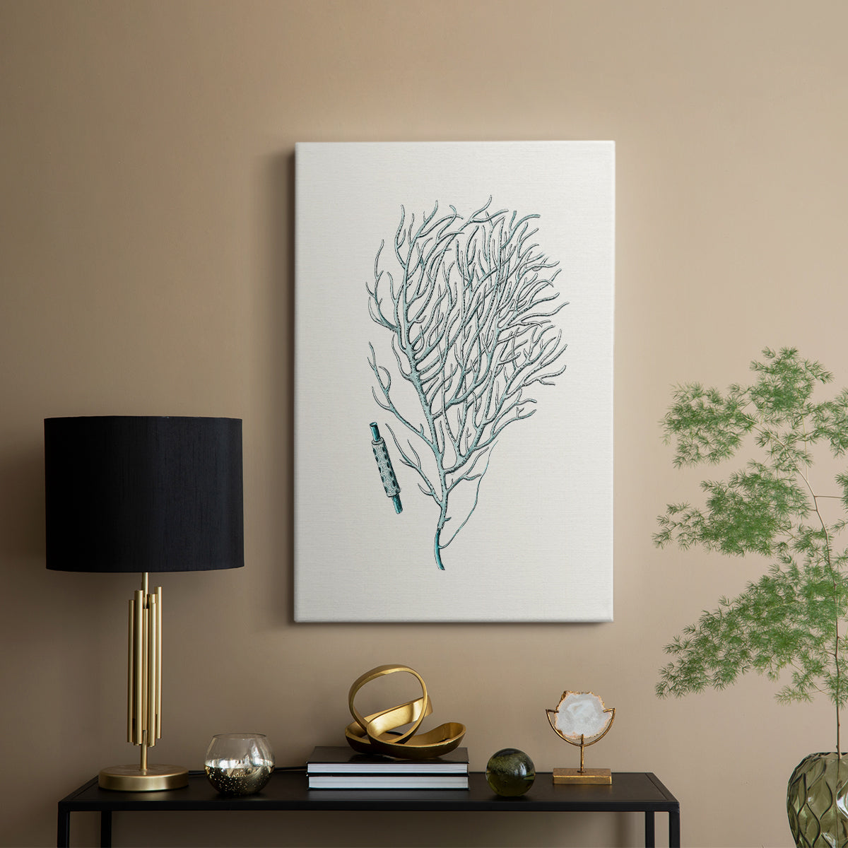 Antique Coastal Coral I - Canvas Art Print