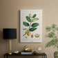 Turpin Tropical Botanicals V - Canvas Art Print