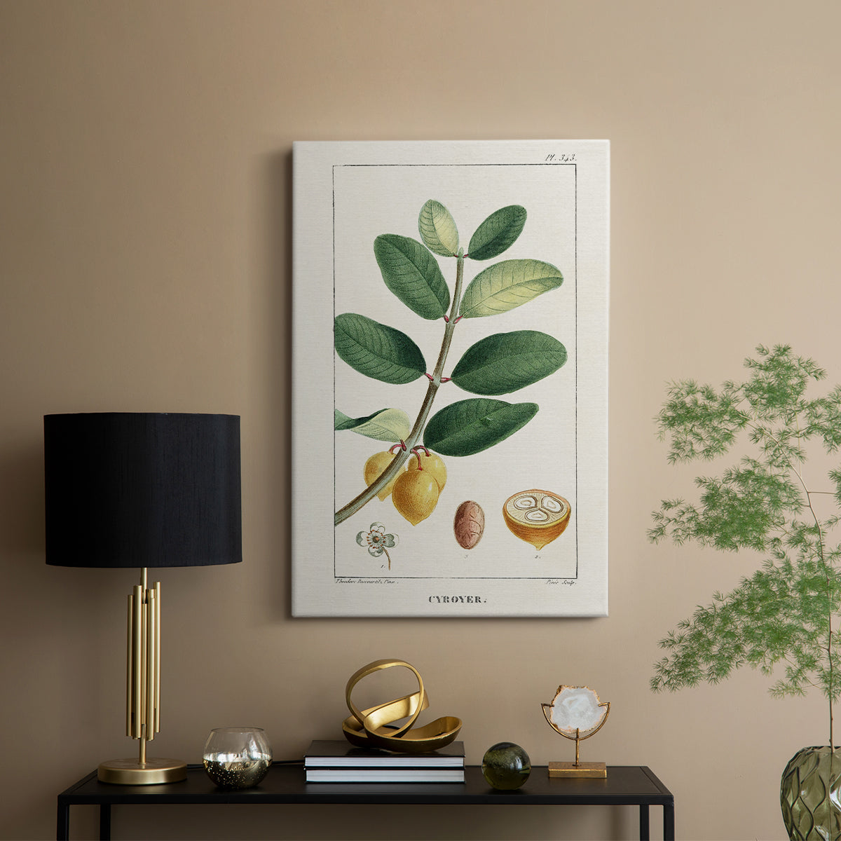 Turpin Tropical Botanicals V - Canvas Art Print