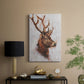 Stag Study II - Canvas Art Print