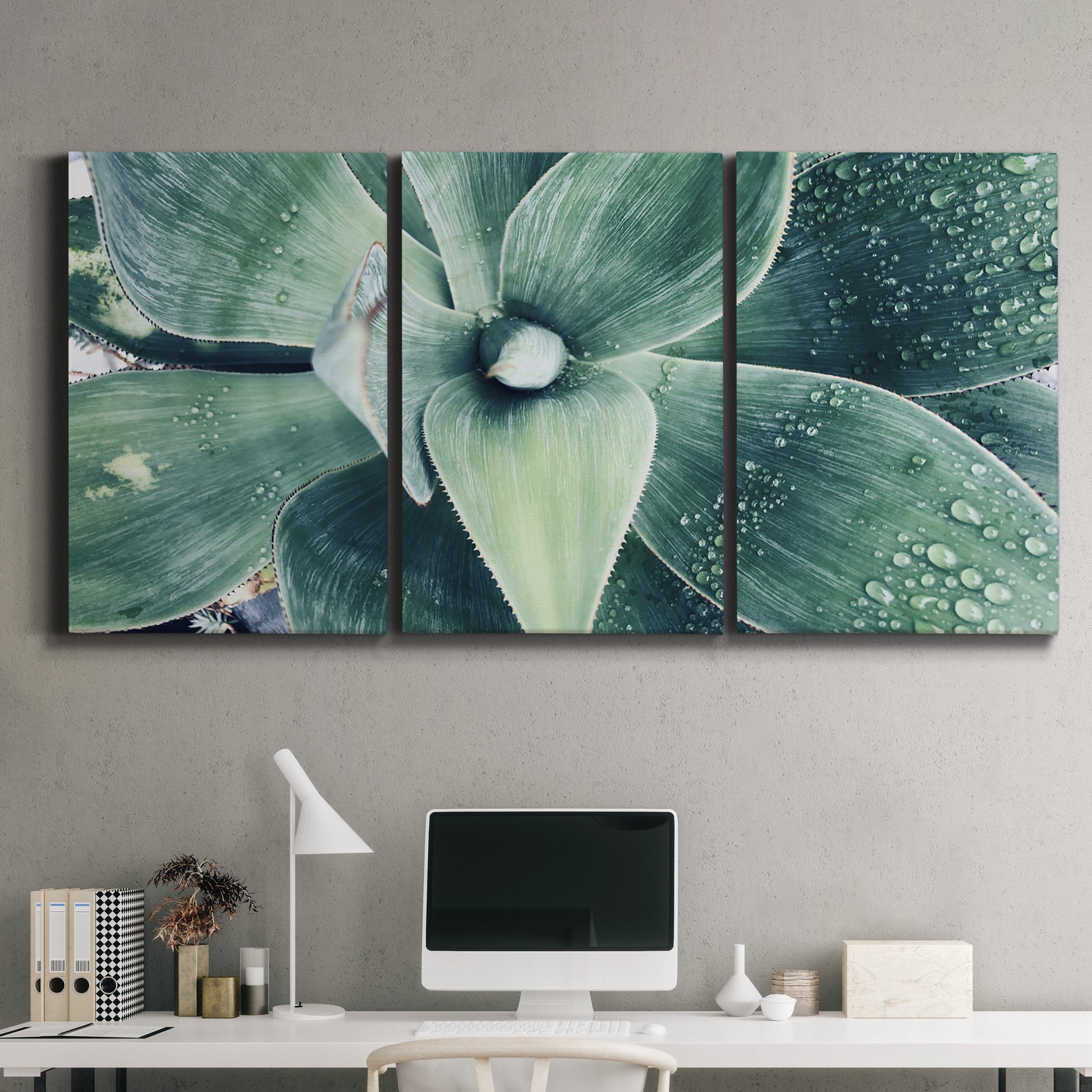 Three-panel canvas wall art featuring green succulent plant photograph, displayed above a desk in a home office.